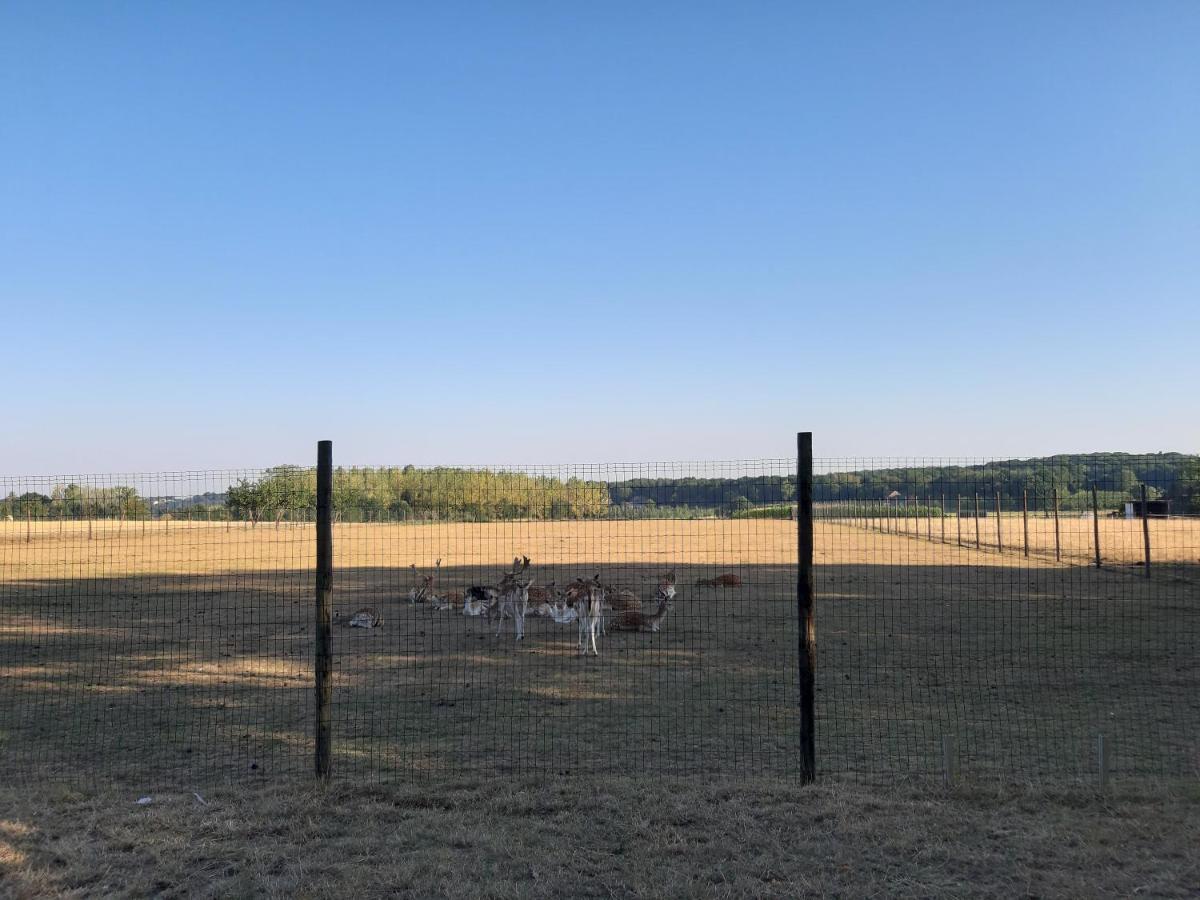 Lemen Huis Houwaart Tielt Exteriér fotografie
